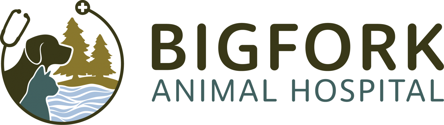 Big Fork Animal Hospital Logo