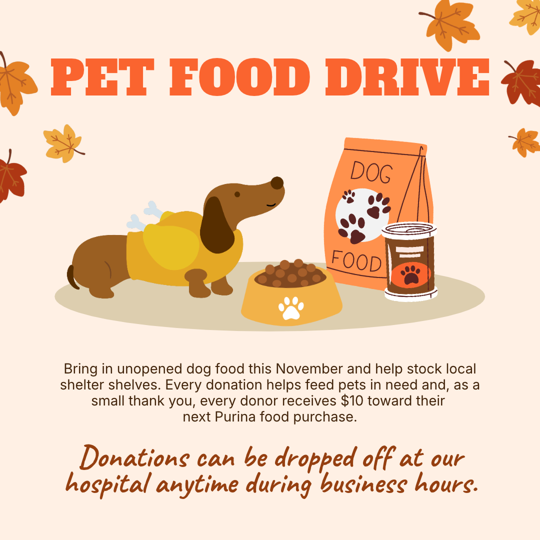 Food Drive